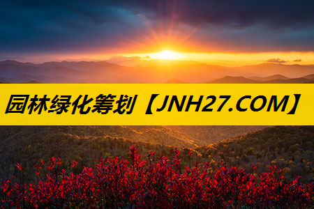 园林绿化筹划