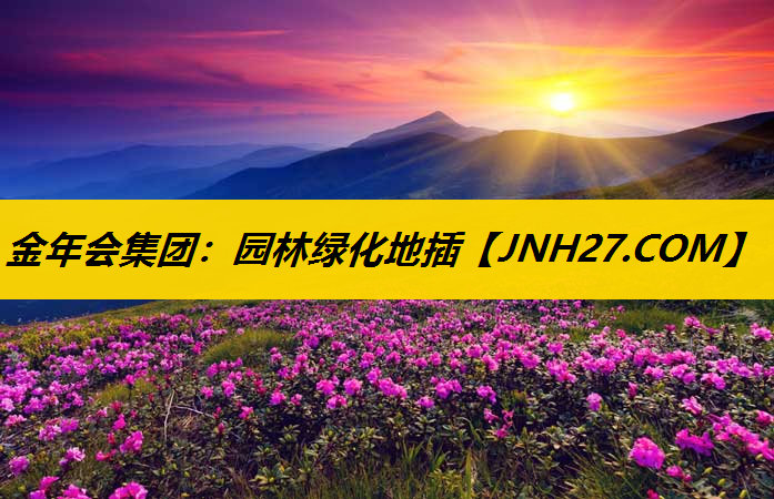 园林绿化地插