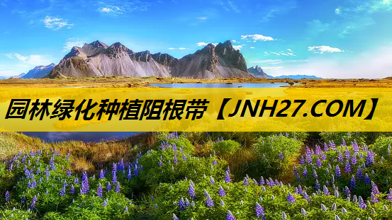 园林绿化种植阻根带