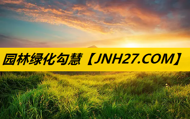 园林绿化勾慧