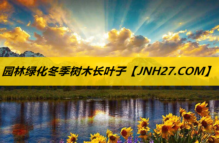 园林绿化冬季树木长叶子