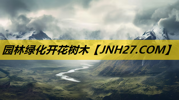 园林绿化开花树木