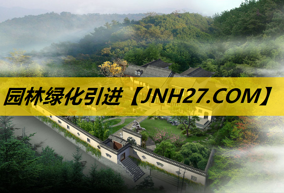 园林绿化引进