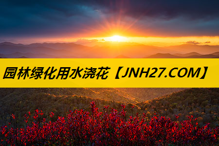 园林绿化用水浇花