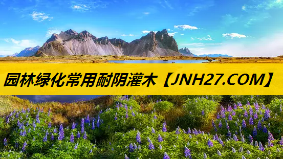 园林绿化常用耐阴灌木