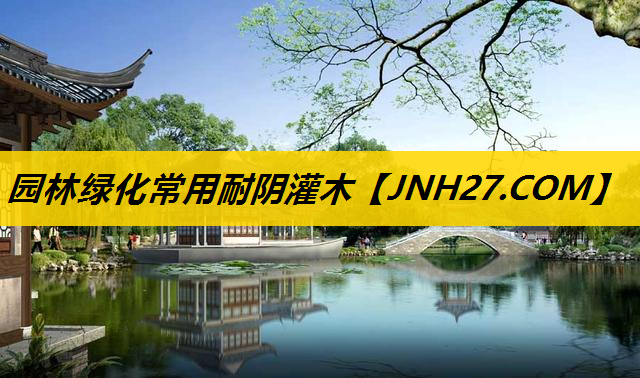 园林绿化常用耐阴灌木