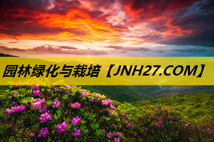 园林绿化与栽培