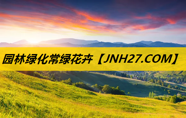 园林绿化常绿花卉