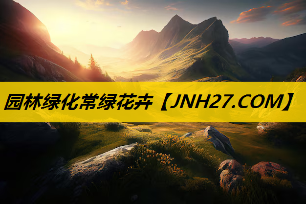 园林绿化常绿花卉