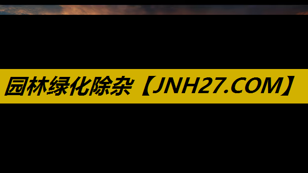 园林绿化除杂
