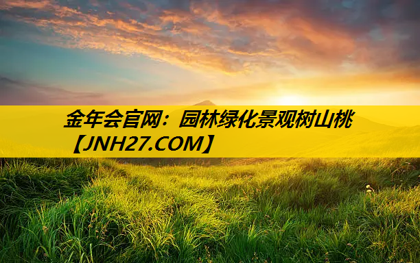 园林绿化景观树山桃