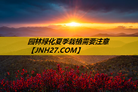 园林绿化夏季栽植需要注意