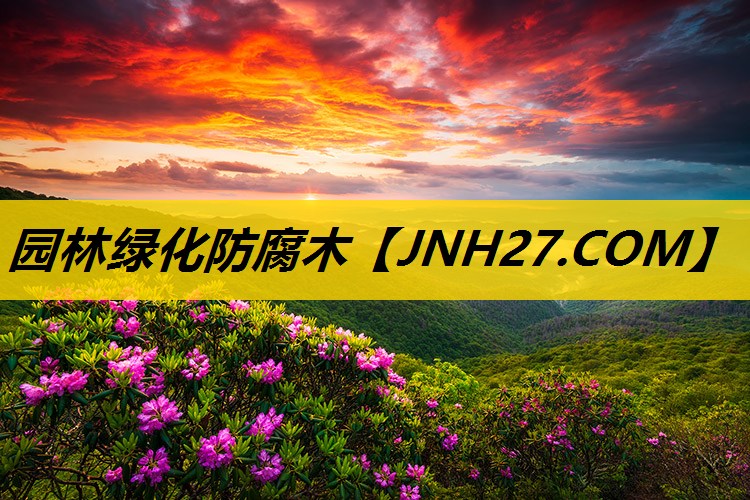 园林绿化防腐木