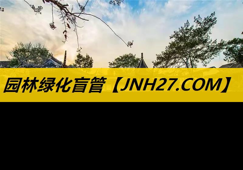 园林绿化盲管