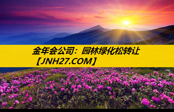 园林绿化松转让
