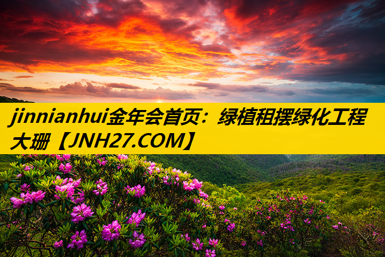 绿植租摆绿化工程大珊