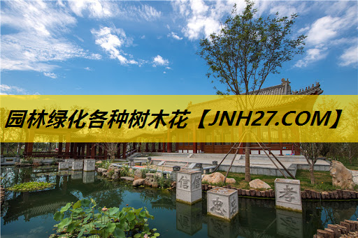 园林绿化各种树木花