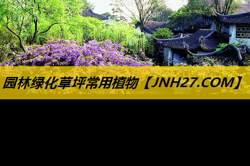 园林绿化草坪常用植物