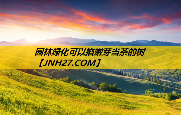 园林绿化可以掐嫩芽当茶的树