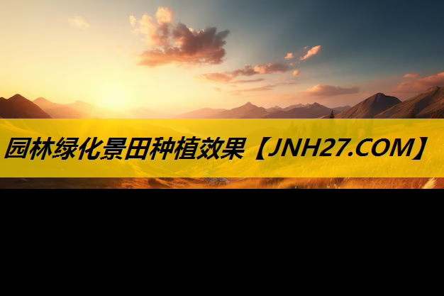园林绿化景田种植效果