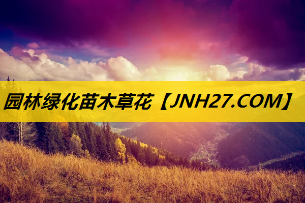 园林绿化苗木草花