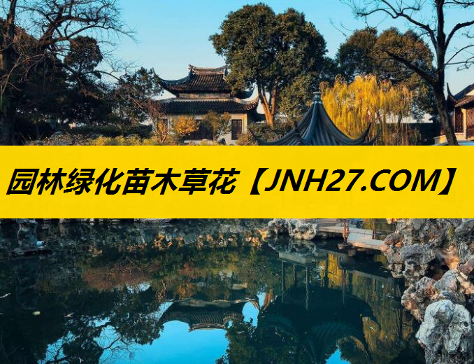 园林绿化苗木草花
