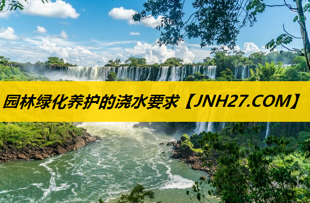 园林绿化养护的浇水要求
