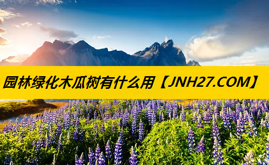 园林绿化木瓜树有什么用