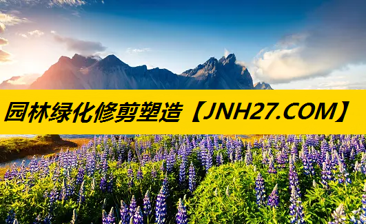 园林绿化修剪塑造
