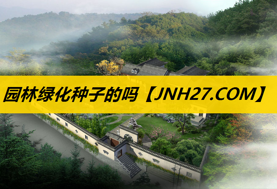 园林绿化种子的吗