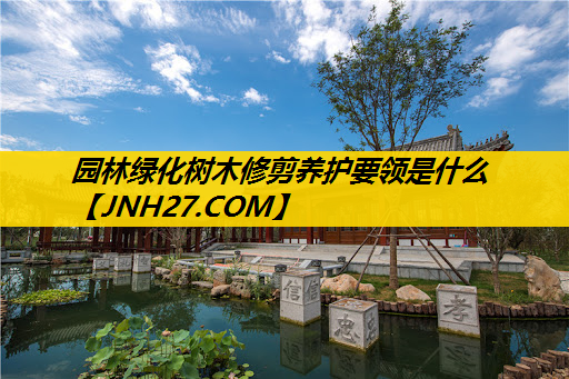 园林绿化树木修剪养护要领是什么