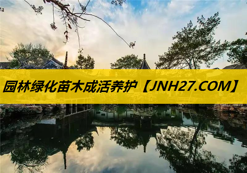 园林绿化苗木成活养护