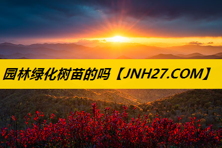 园林绿化树苗的吗