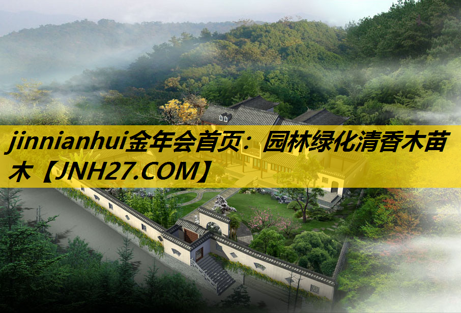 园林绿化清香木苗木