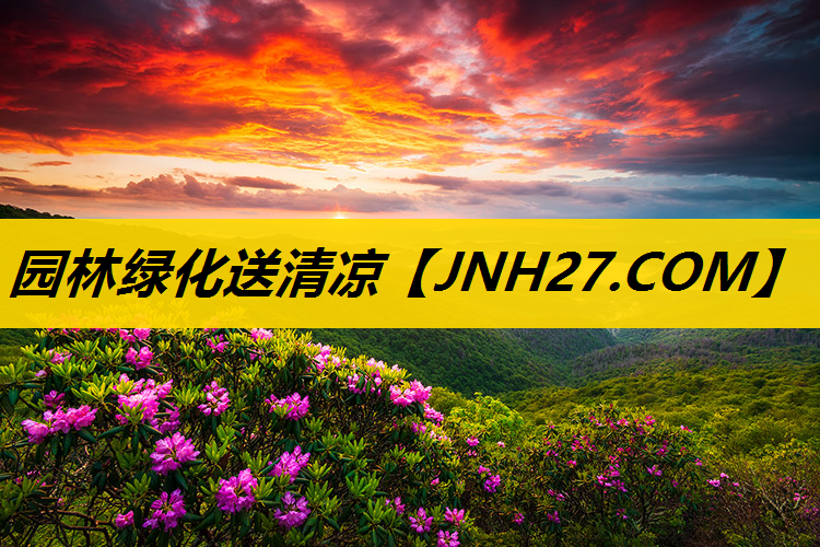 园林绿化送清凉